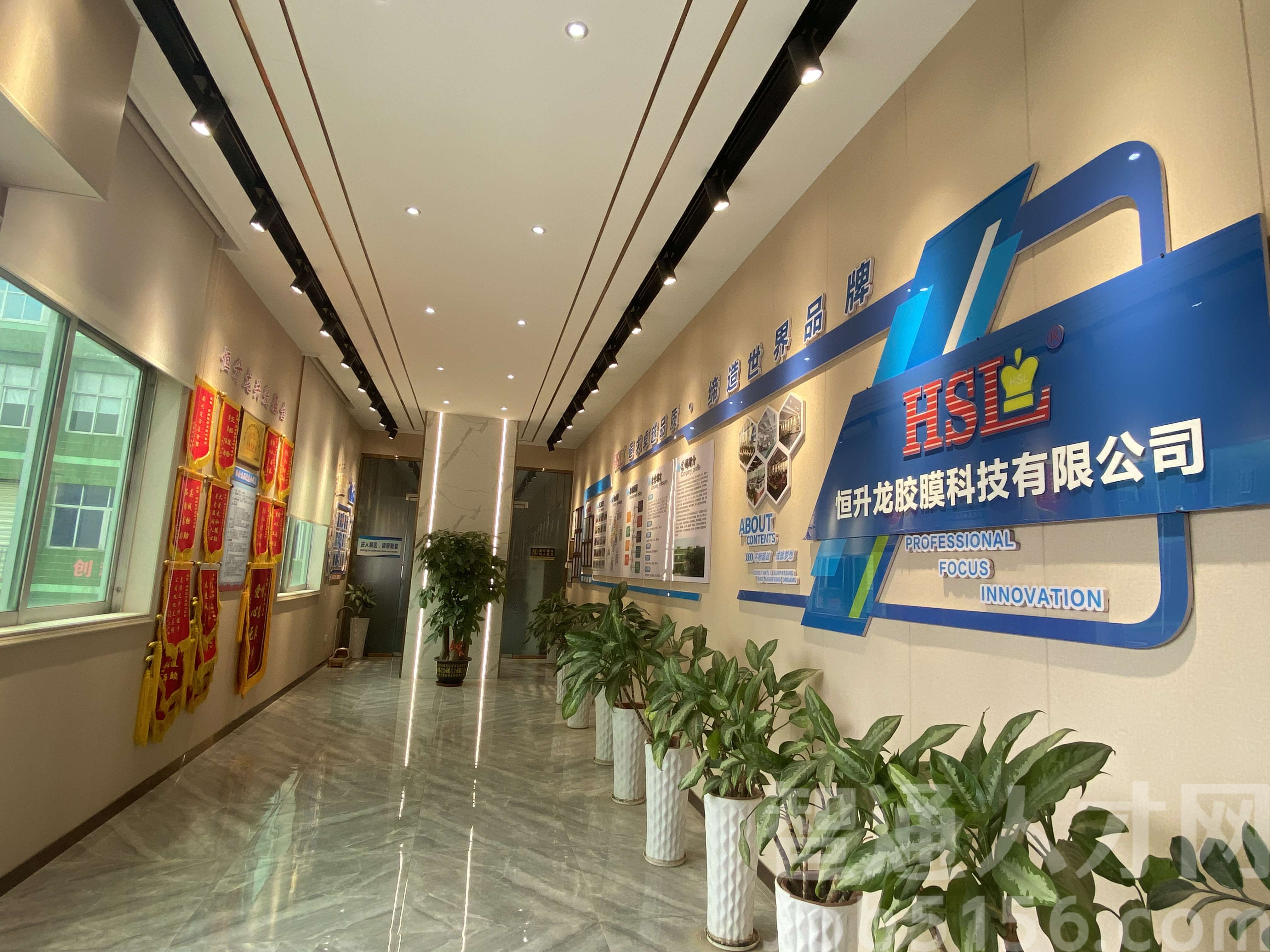 东莞恒升龙胶膜科技有限公司图5