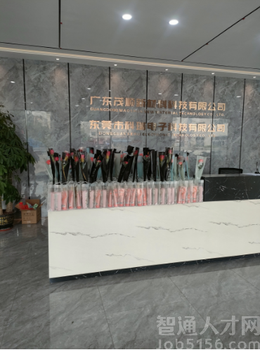 东莞市科瑞电子科技有限公司图3