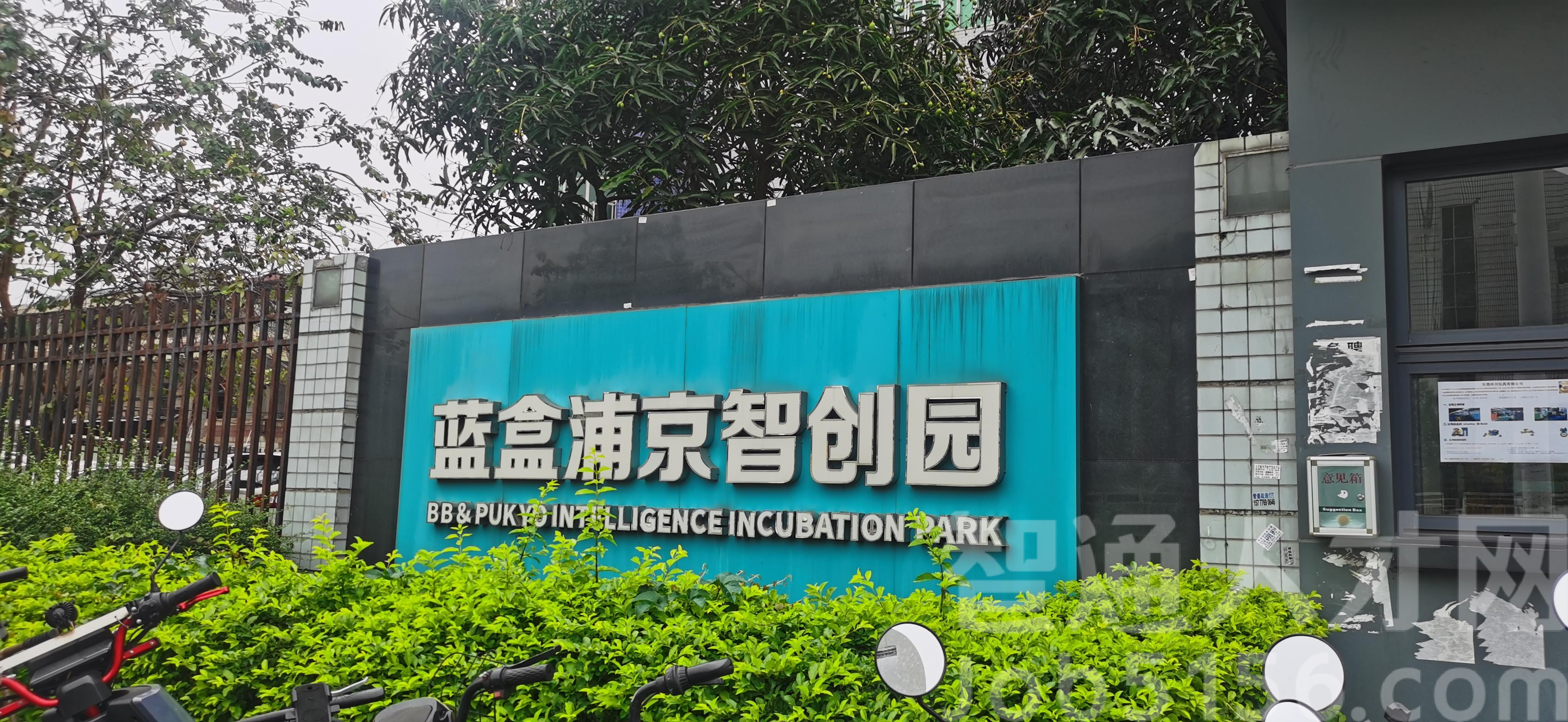 东莞祥兴玩具有限公司图7