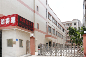 东莞市朗赛德五金工具有限公司图1