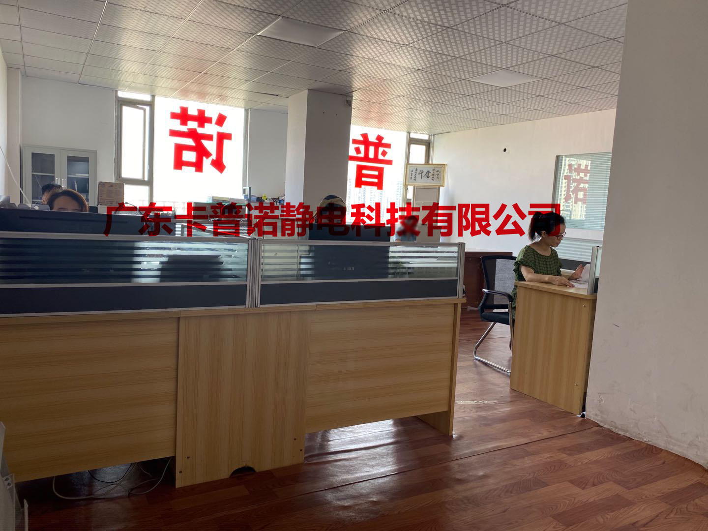 广东卡普诺静电科技有限公司图2