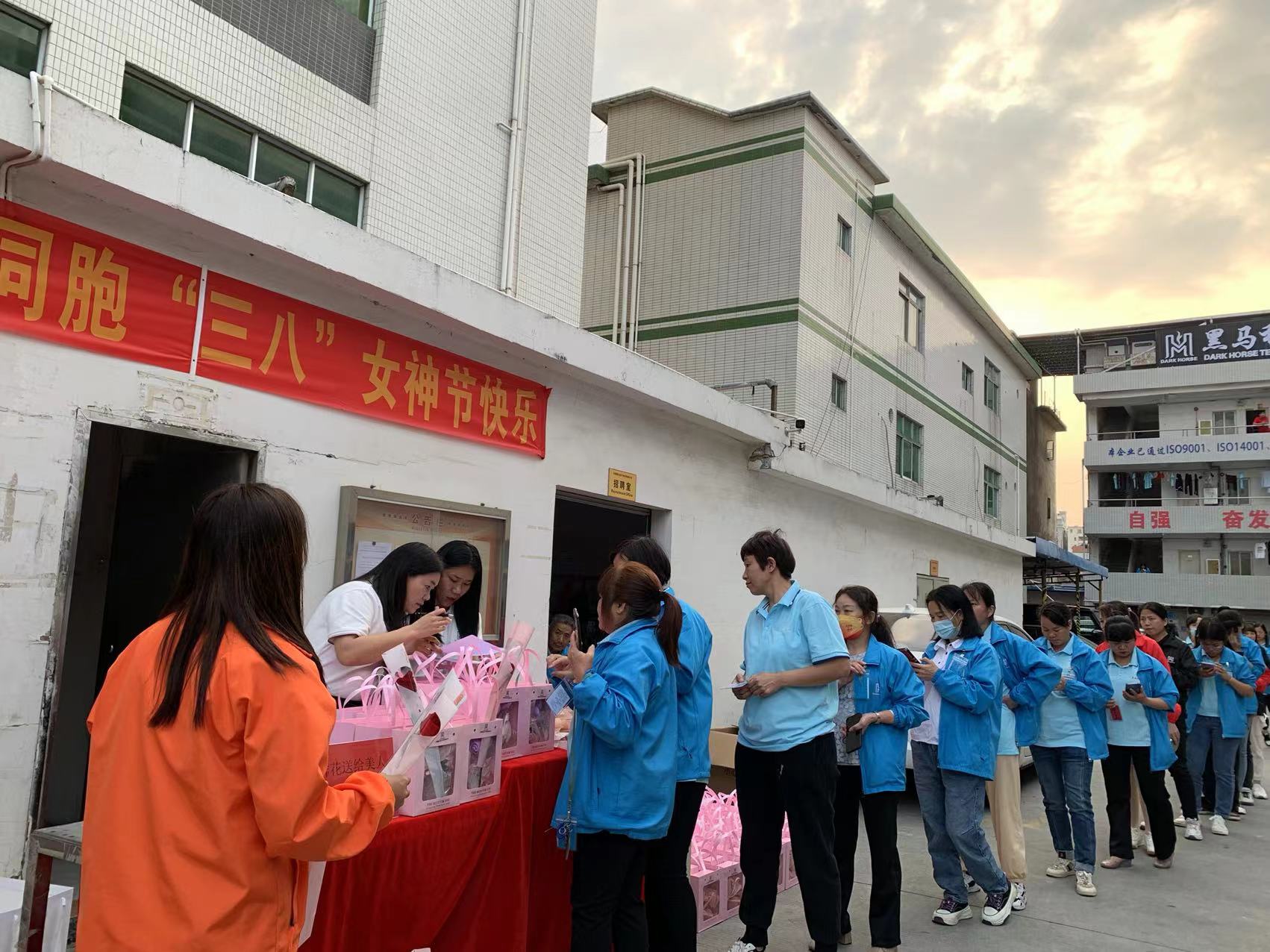 东莞黑马电子科技有限公司图8