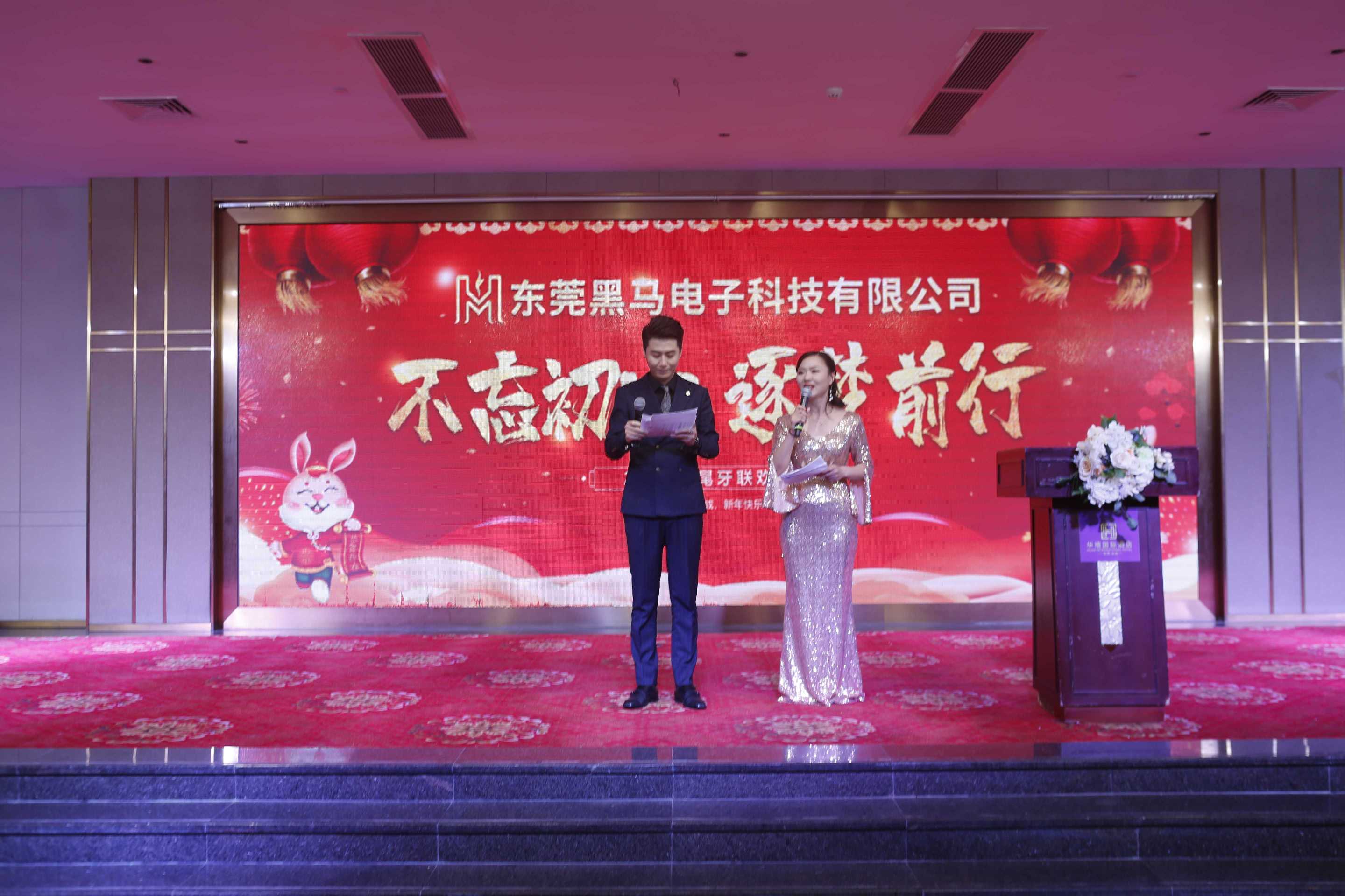 东莞黑马电子科技有限公司图1