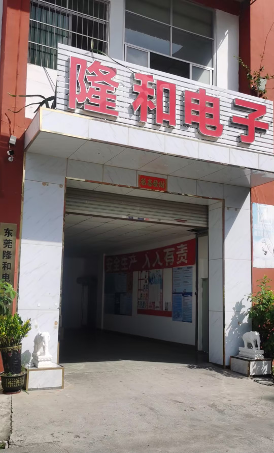 东莞隆和电子有限公司图1