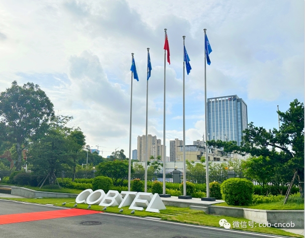 广东胜高技术股份有限公司图1