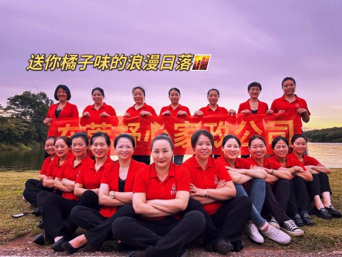 东莞市舒心家政服务有限公司图7