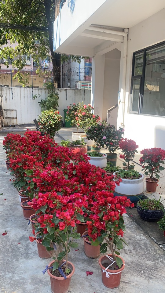 东莞市辰然科技有限公司图2