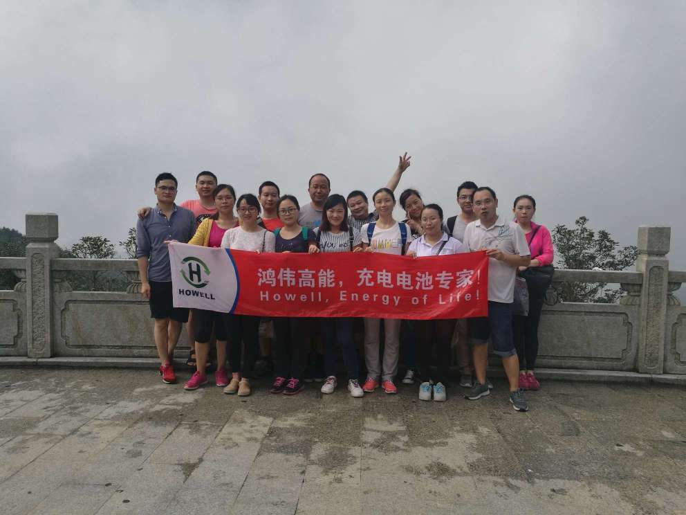 广东鸿伟电池科技有限公司图3