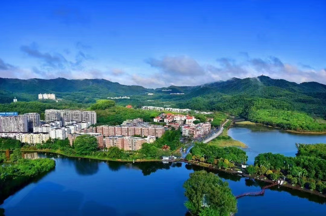 东莞市浪琴物业管理服务有限公司图6