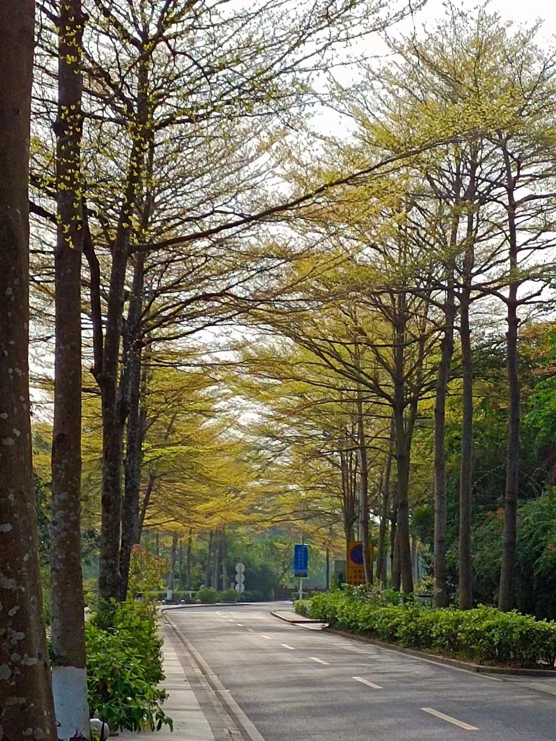 东莞市浪琴物业管理服务有限公司图2