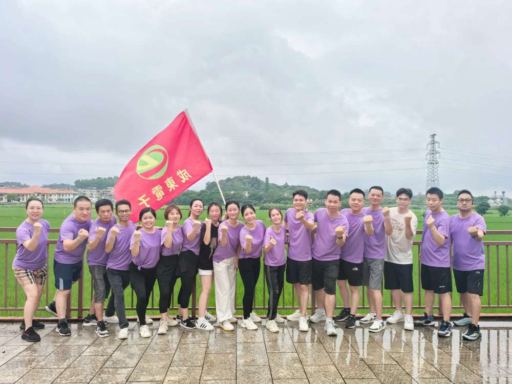 东莞市成东电子科技有限公司图5