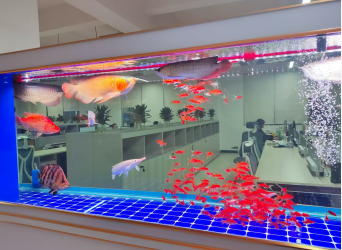 东莞市顺东硅胶科技有限公司图8