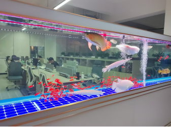 东莞市顺东硅胶科技有限公司图9