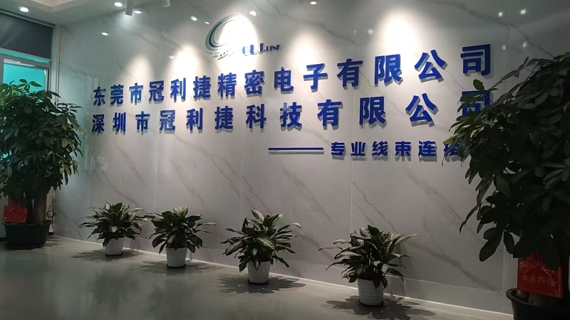 东莞市冠利捷精密电子有限公司图1