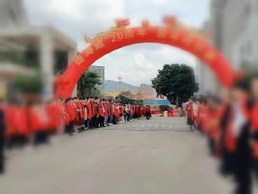 惠州市德海威科技有限公司图4