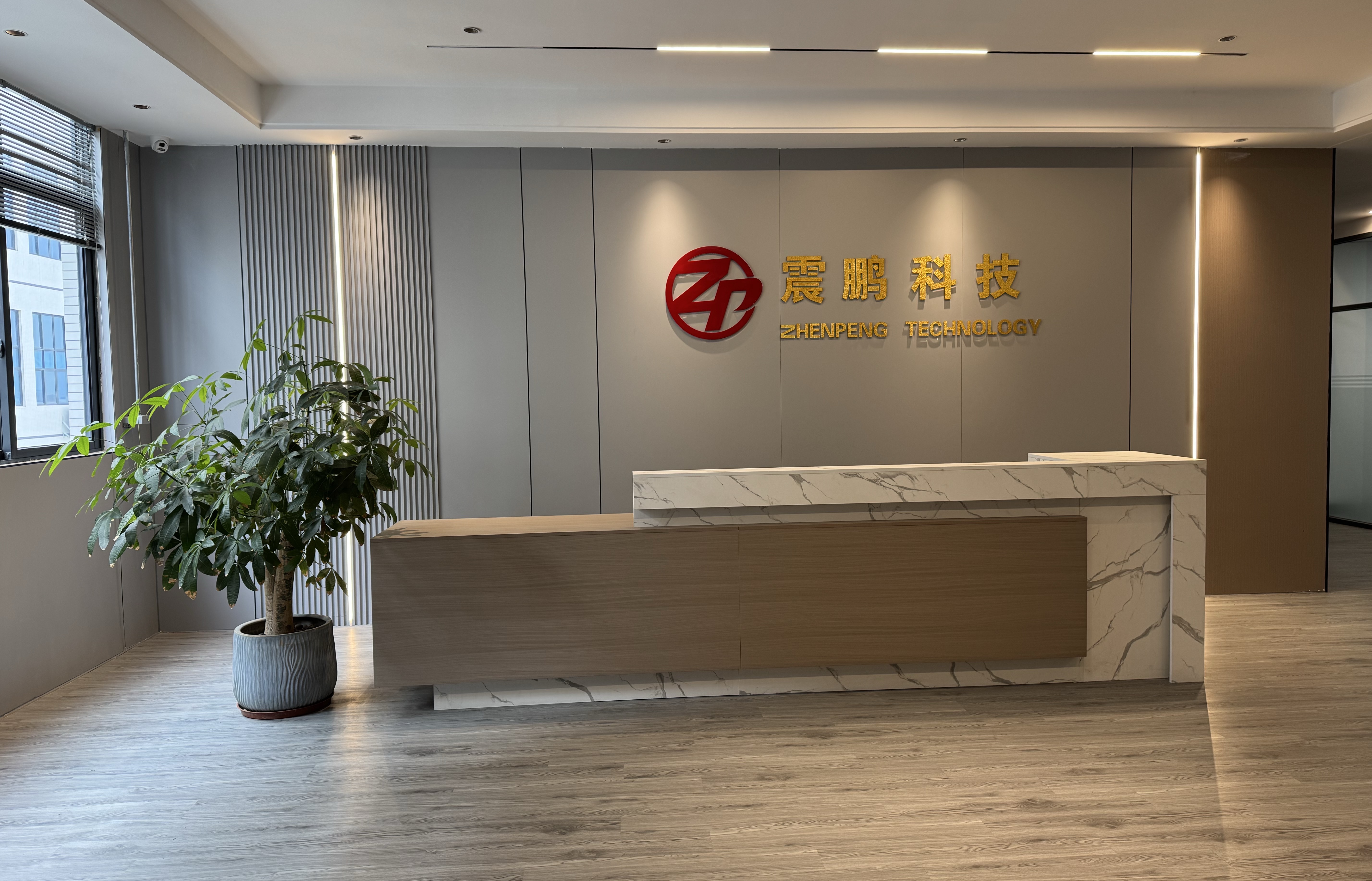 惠州市震鹏电子科技有限公司图3