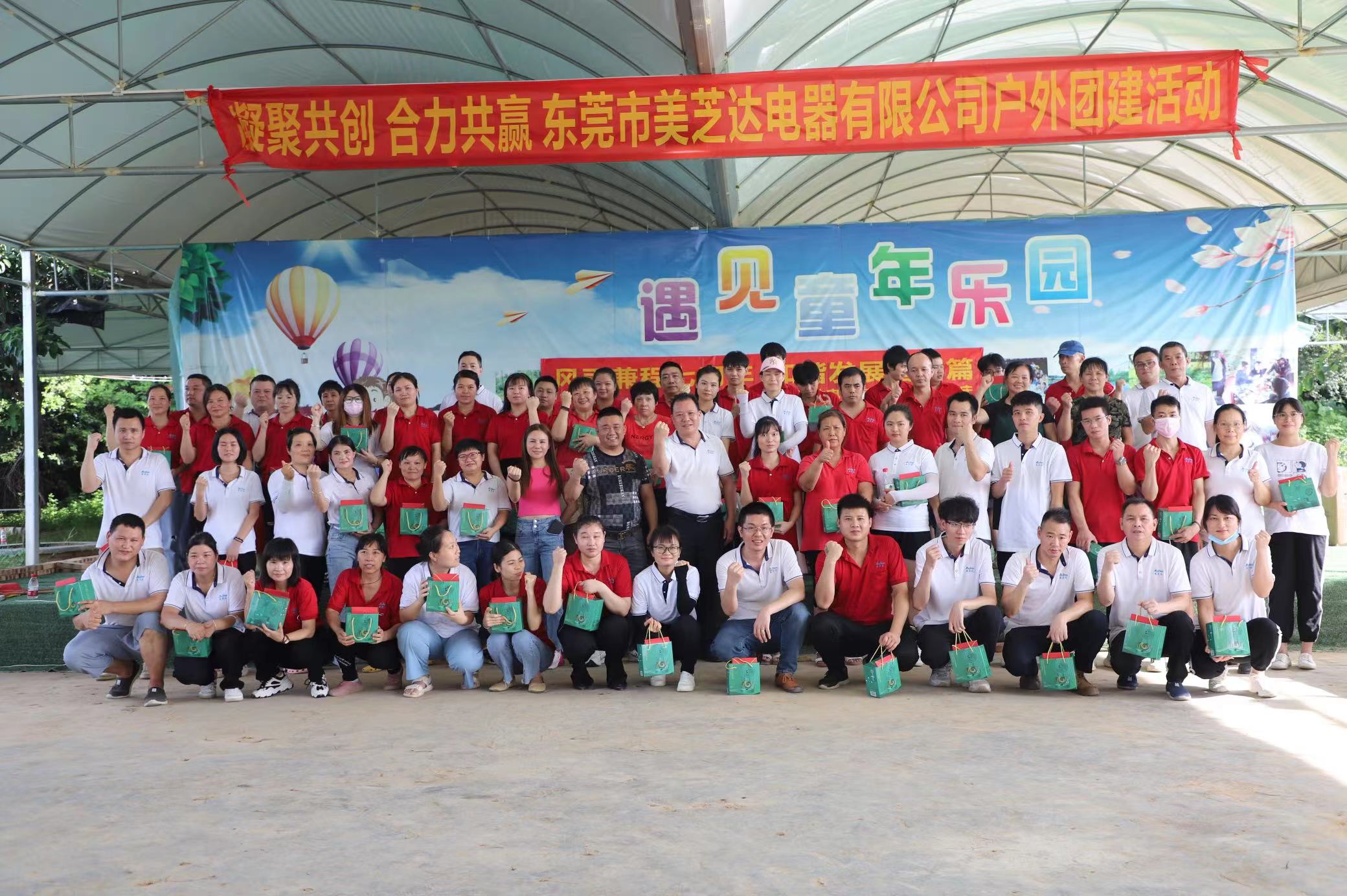 东莞市美芝达电器有限公司图6