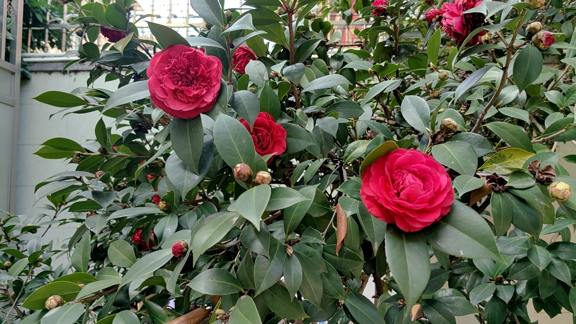 东莞市博扬广告策划有限公司图2