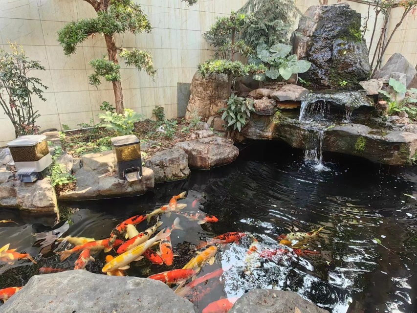 东莞市博扬广告策划有限公司图1