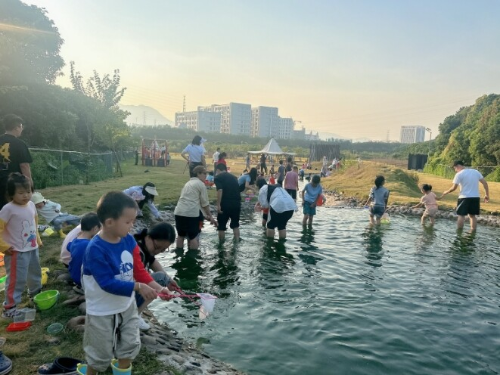 东莞市寮步群主家农场图2