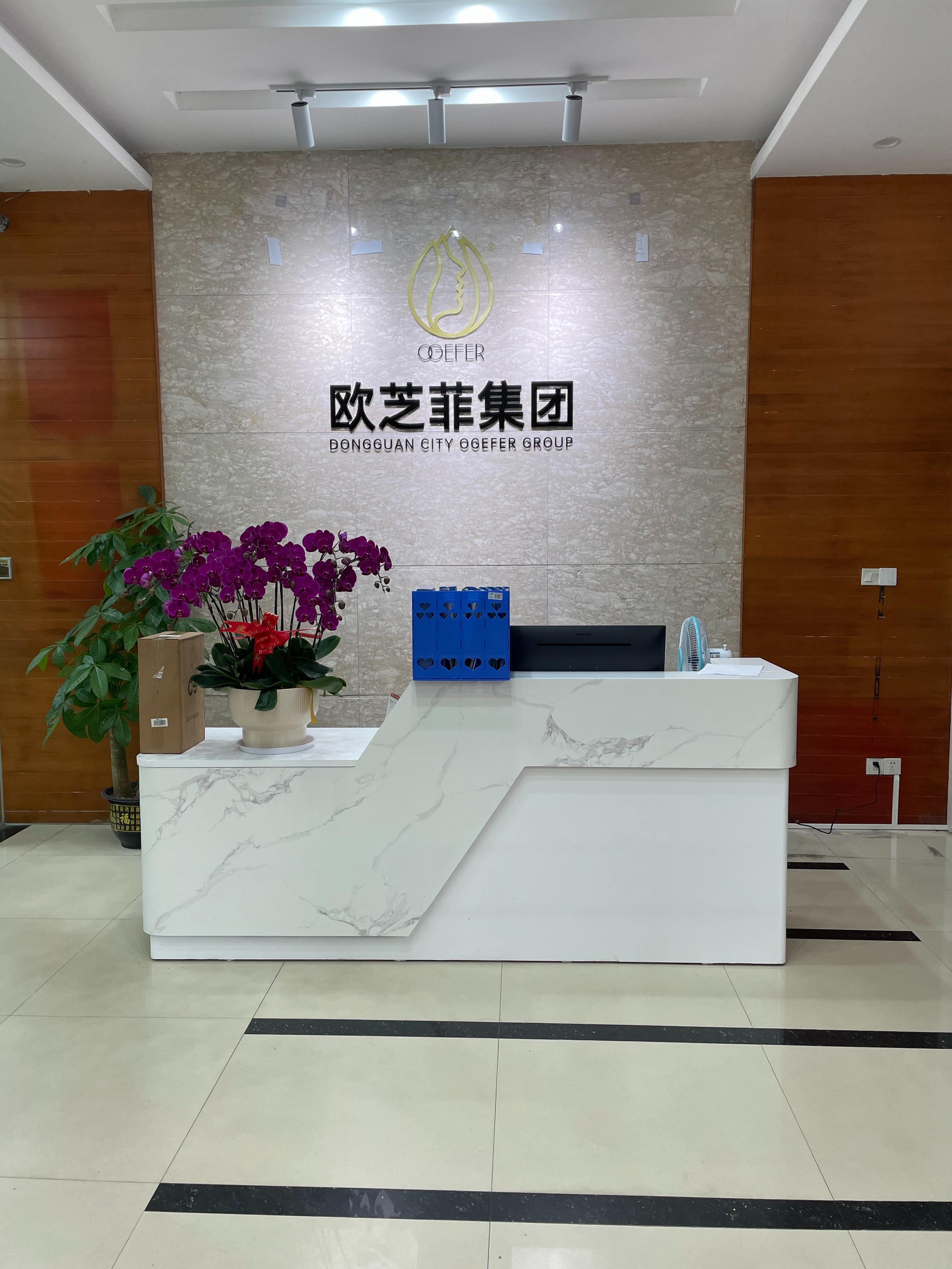 东莞市欧芝菲电器有限公司图1