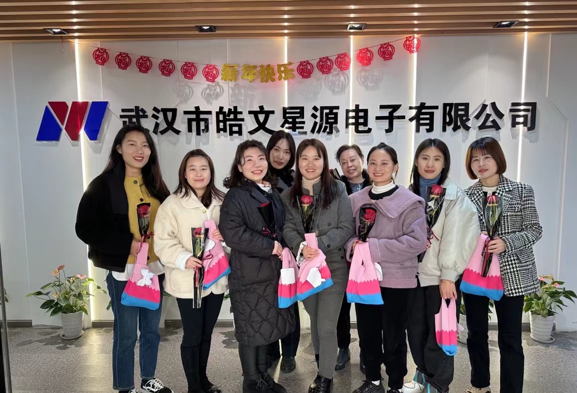 深圳市皓文电子股份有限公司图3