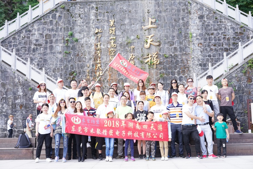 东莞市禾聚精密电子科技有限公司图1