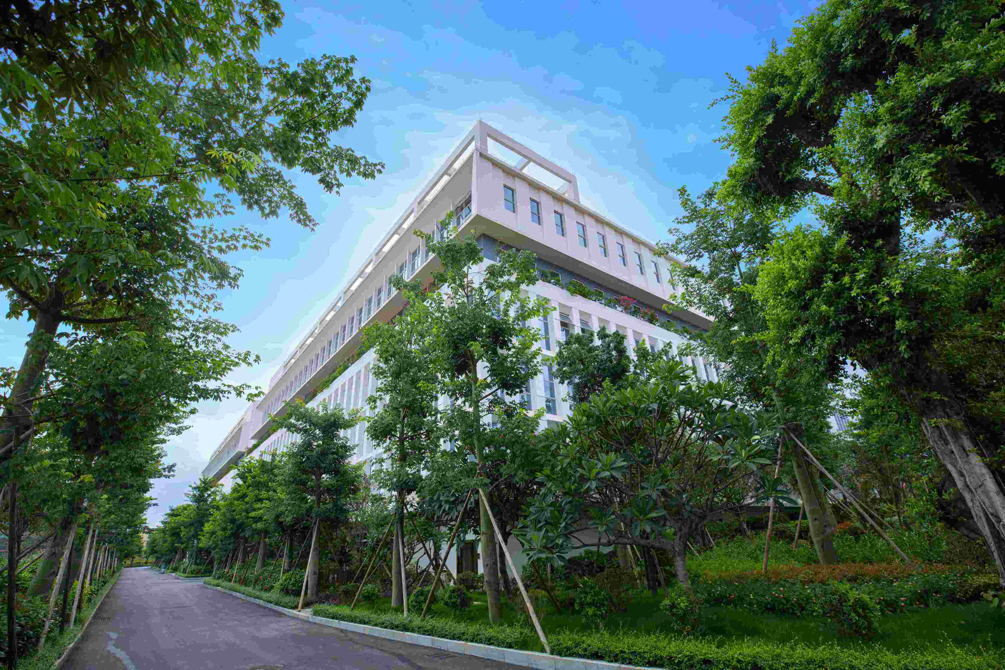 肇庆德庆冠旭电子有限公司图6