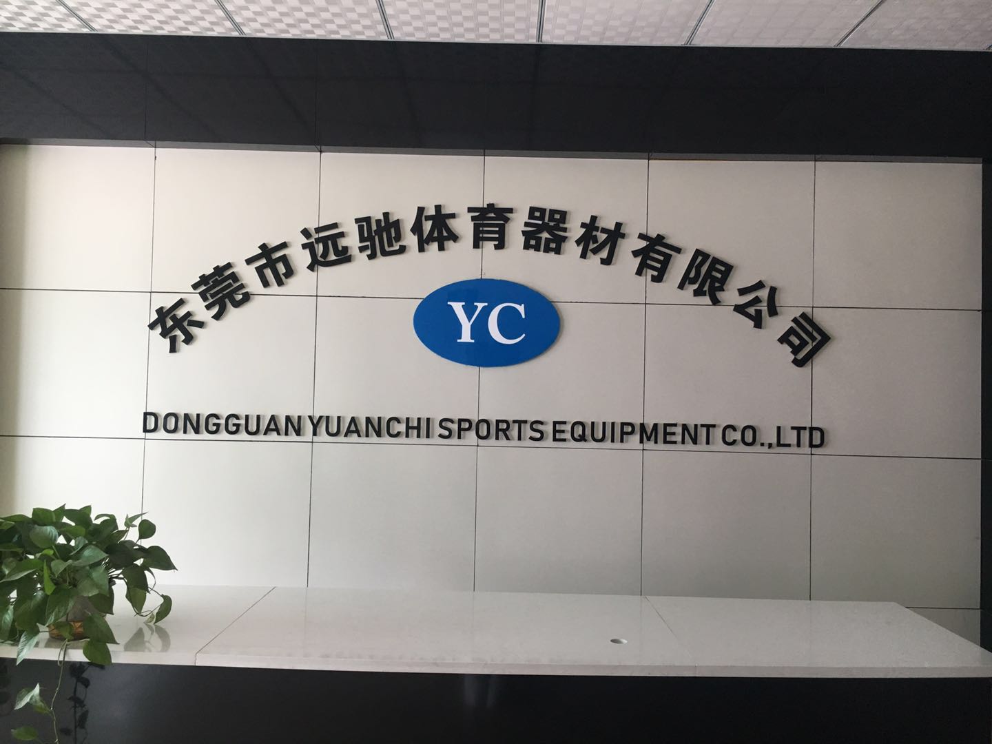 东莞市远驰体育器材有限公司图1