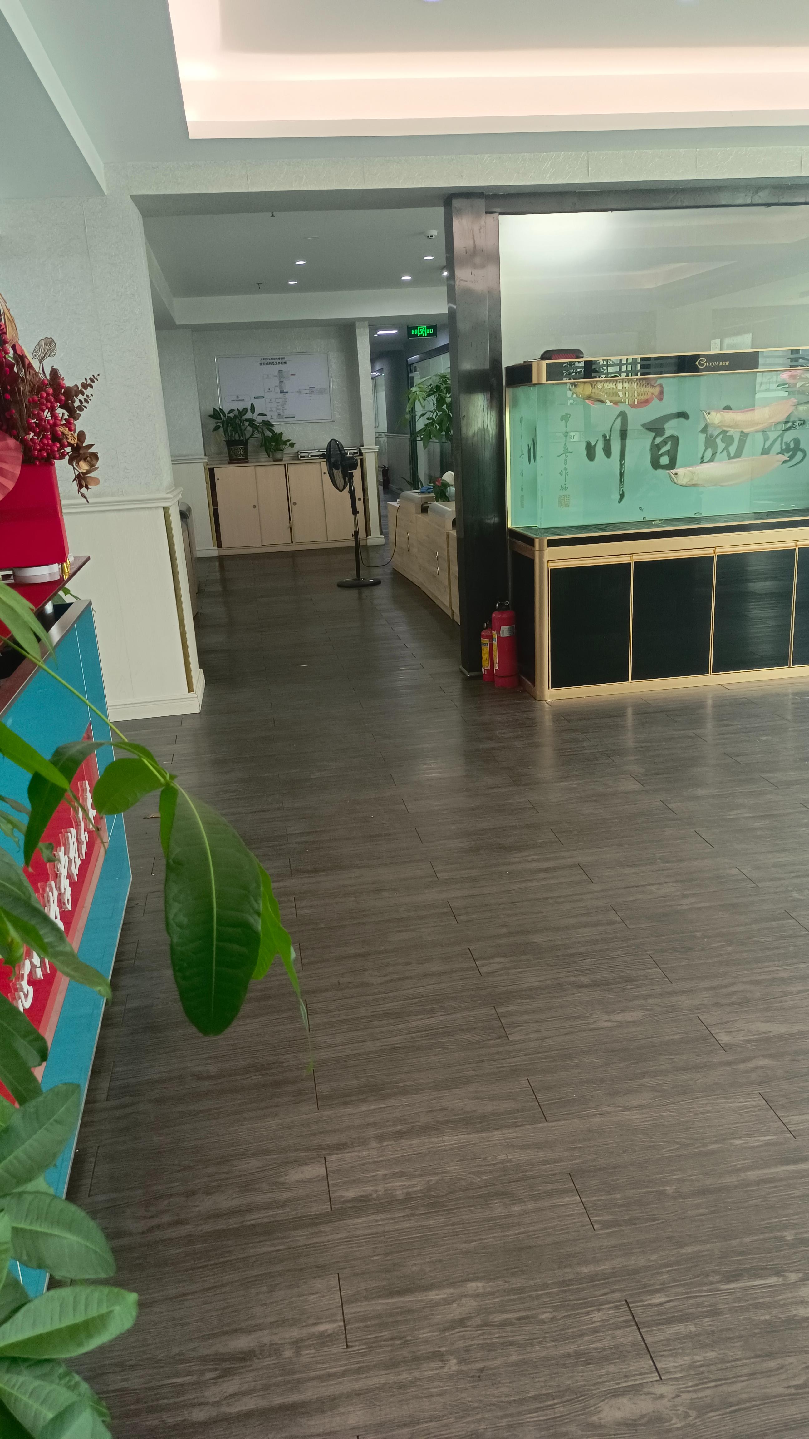 东莞市人本位网络技术有限公司图2