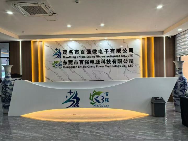 茂名市百强微电子有限公司图2