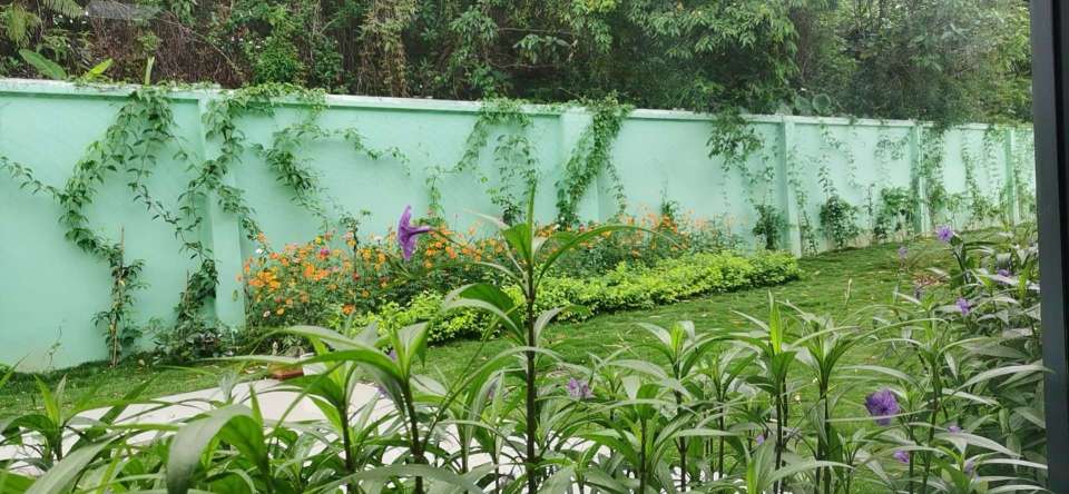 东莞力彩涂料有限公司图3