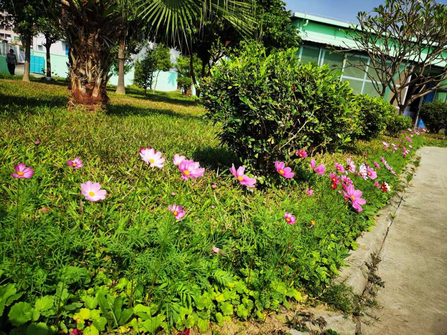 东莞力彩涂料有限公司图6