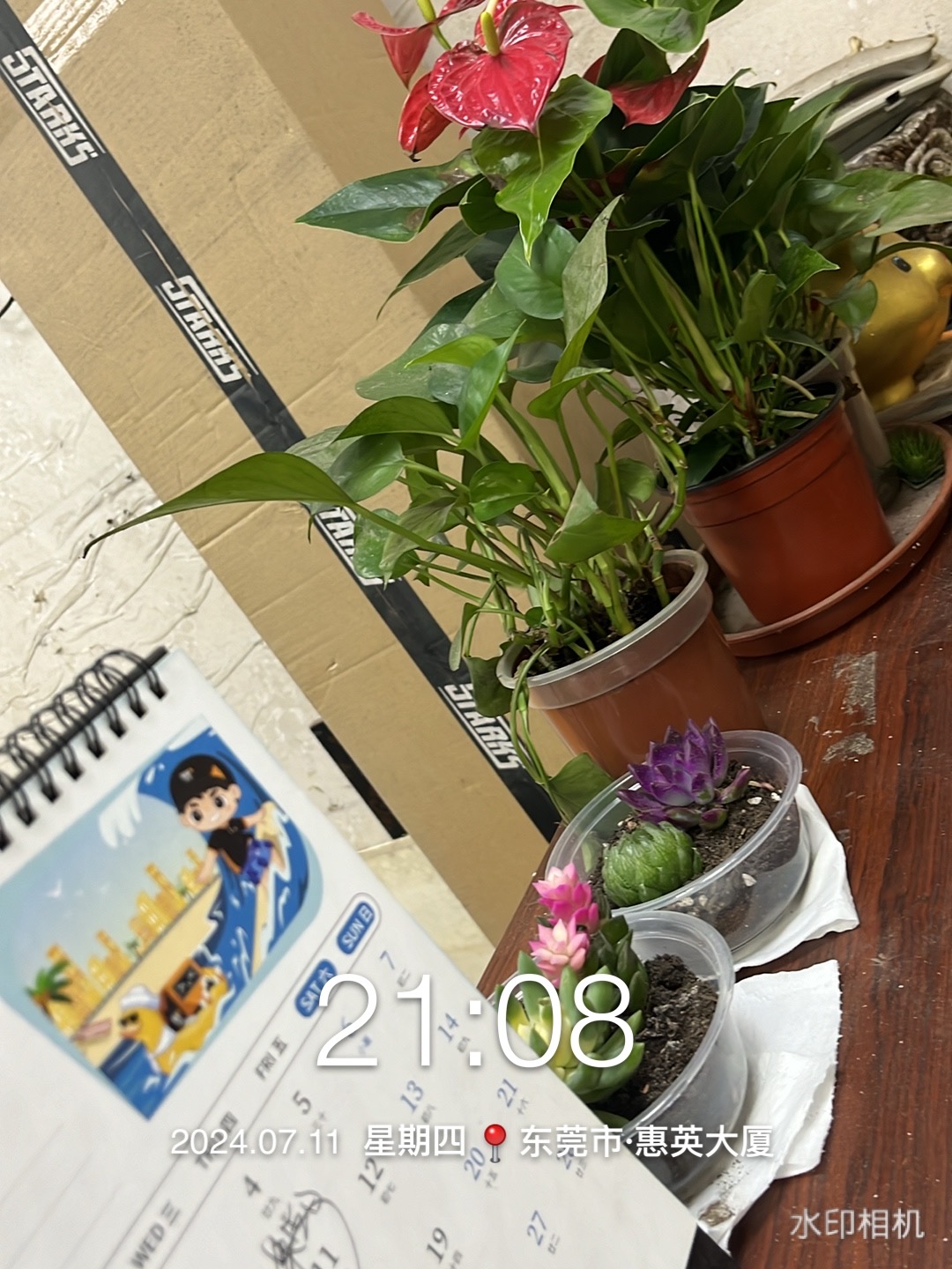 东莞市四洲物流服务有限公司图1