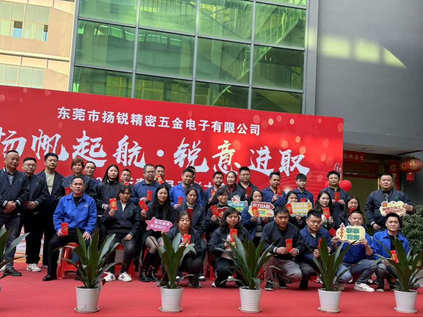 东莞市扬锐精密五金电子有限公司图7