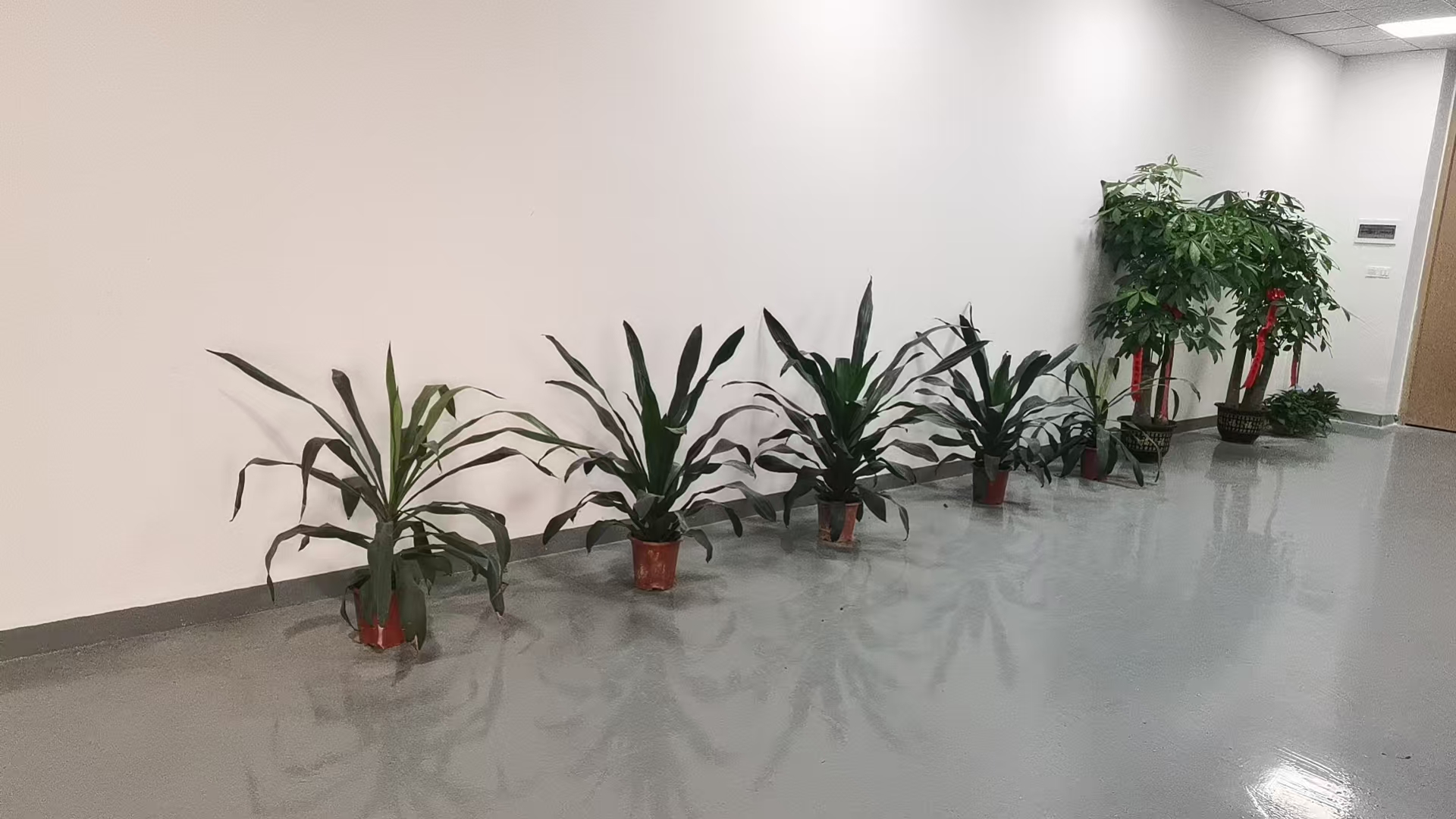 东莞市华心自动化科技有限公司图片5