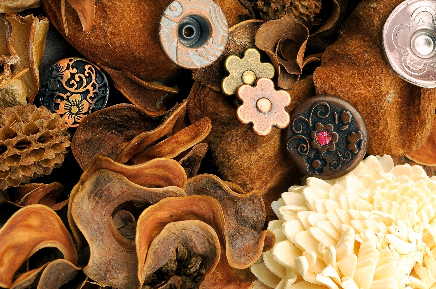 东莞达基钮扣制品有限公司图片3