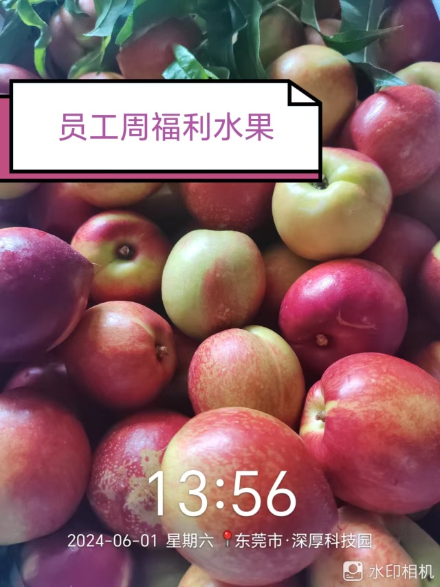 东莞市扬锐精密五金电子有限公司图19