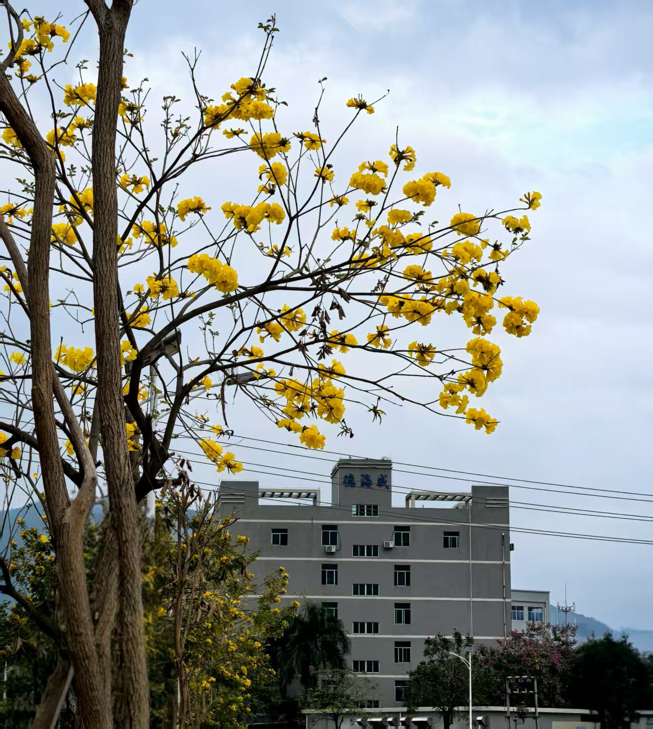 惠州市德海威科技有限公司图12