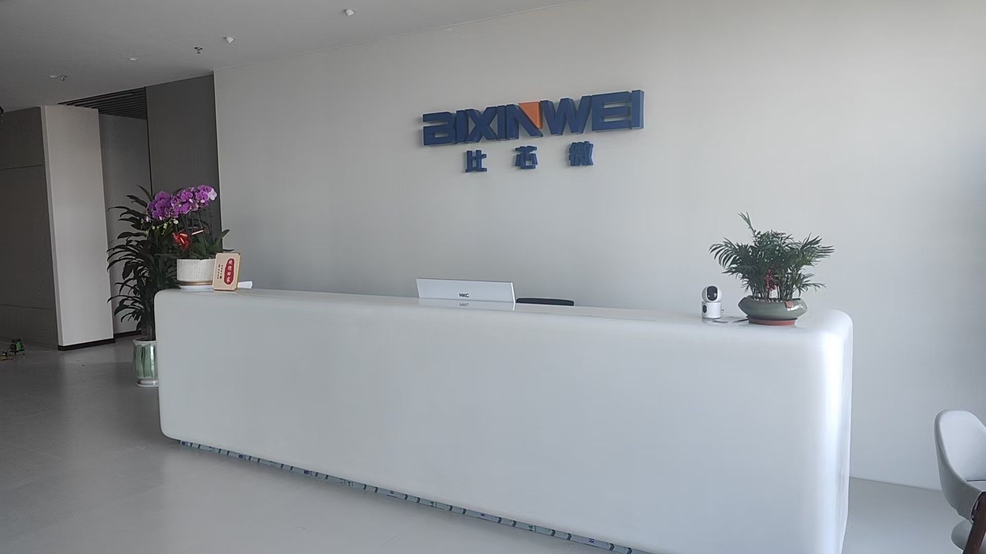 东莞市比芯微电子有限公司图1