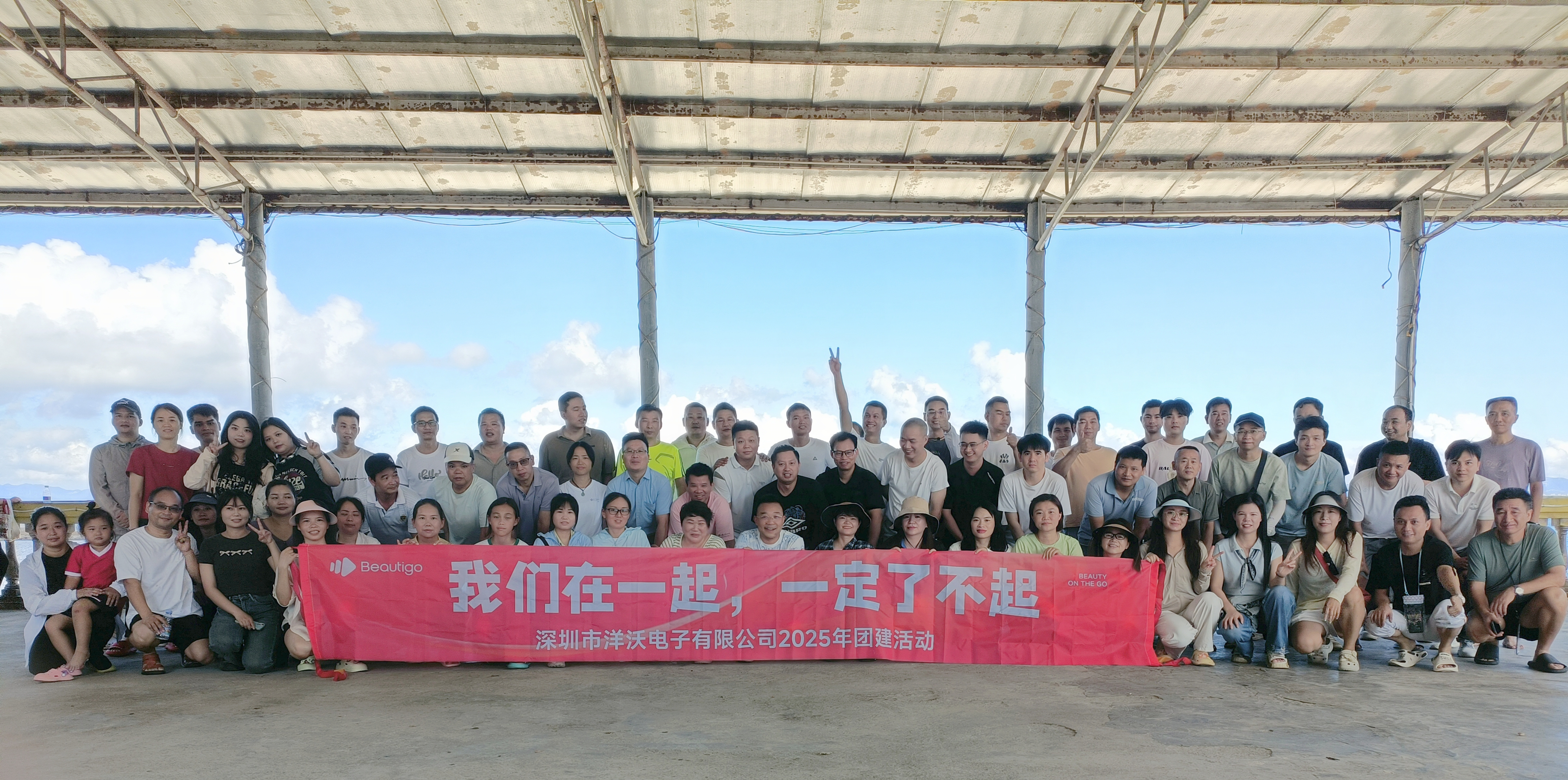 深圳市洋沃电子有限公司图11