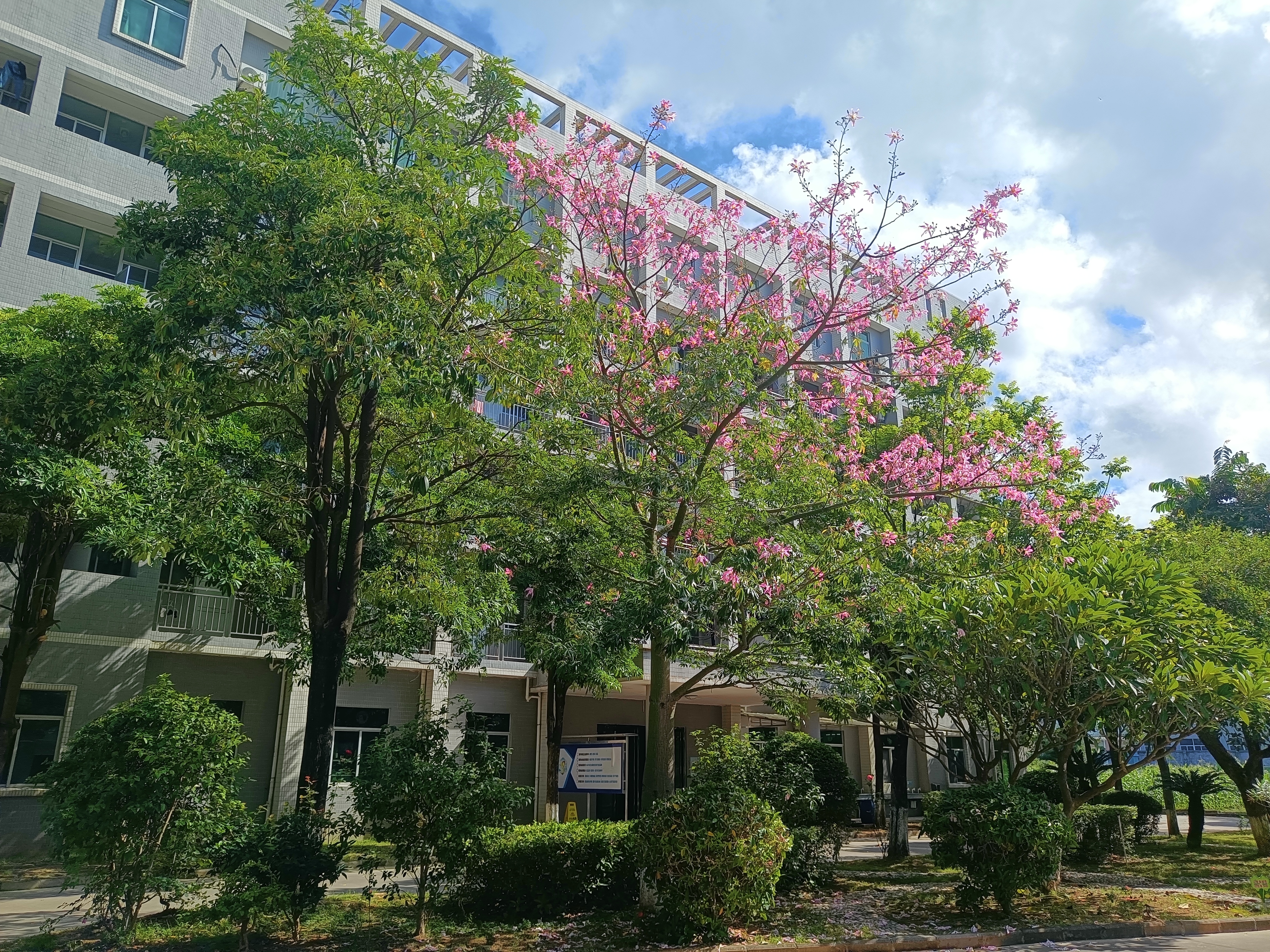 惠州市德海威科技有限公司图14