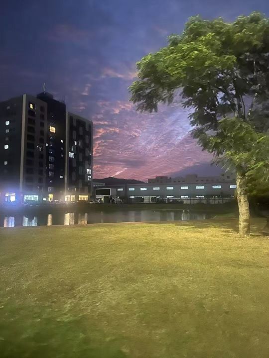 福建福光股份有限公司图2