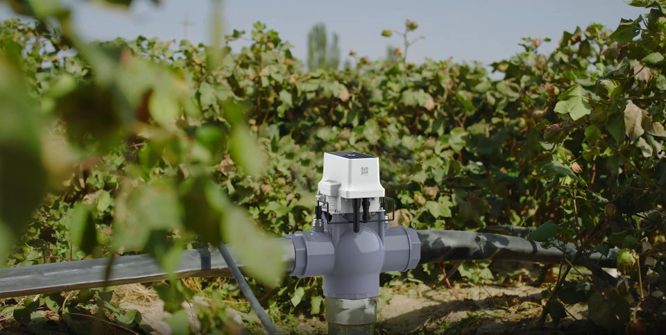 深圳市麦田圈科技有限公司图7