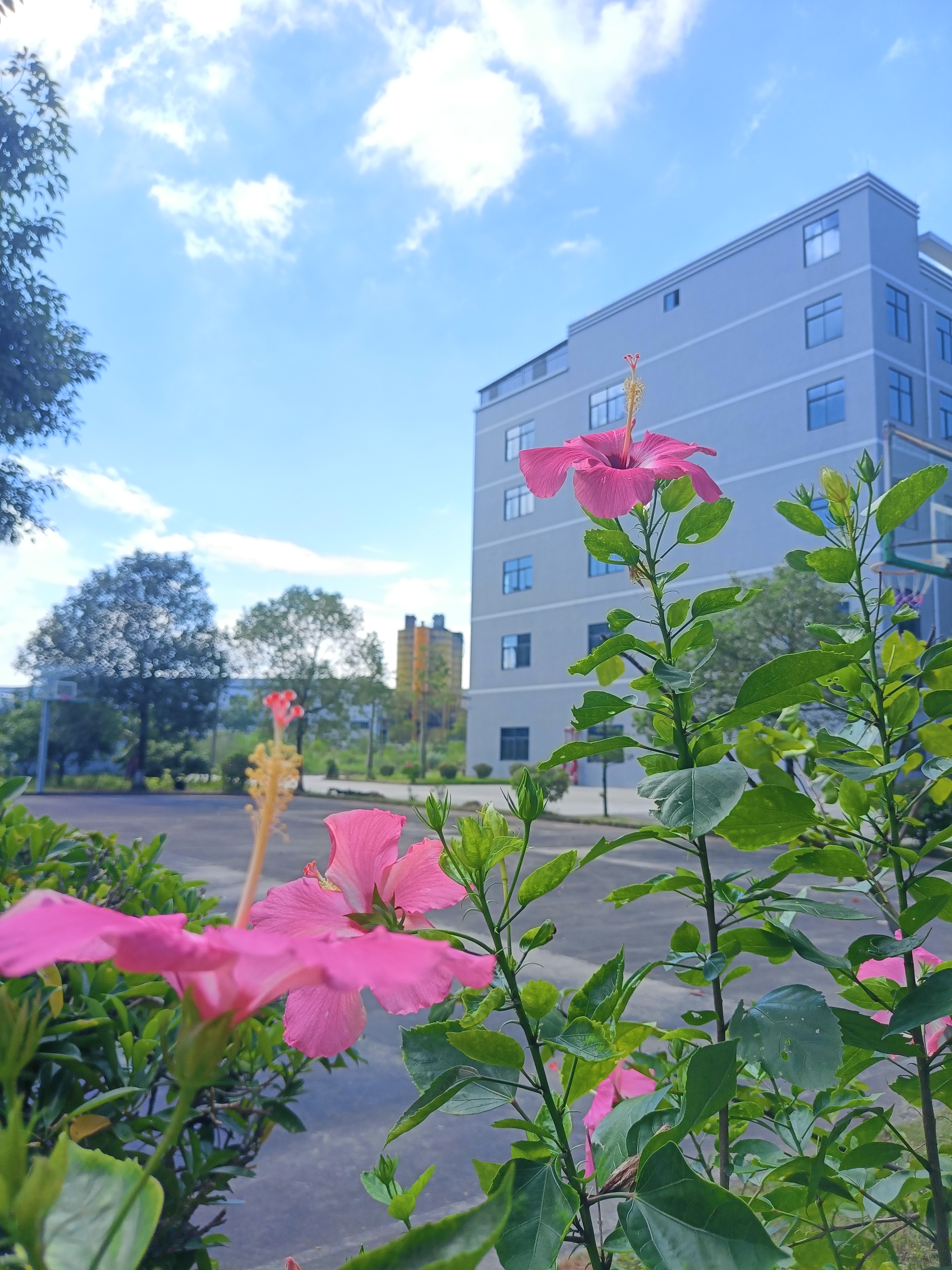 惠州市德海威科技有限公司图15