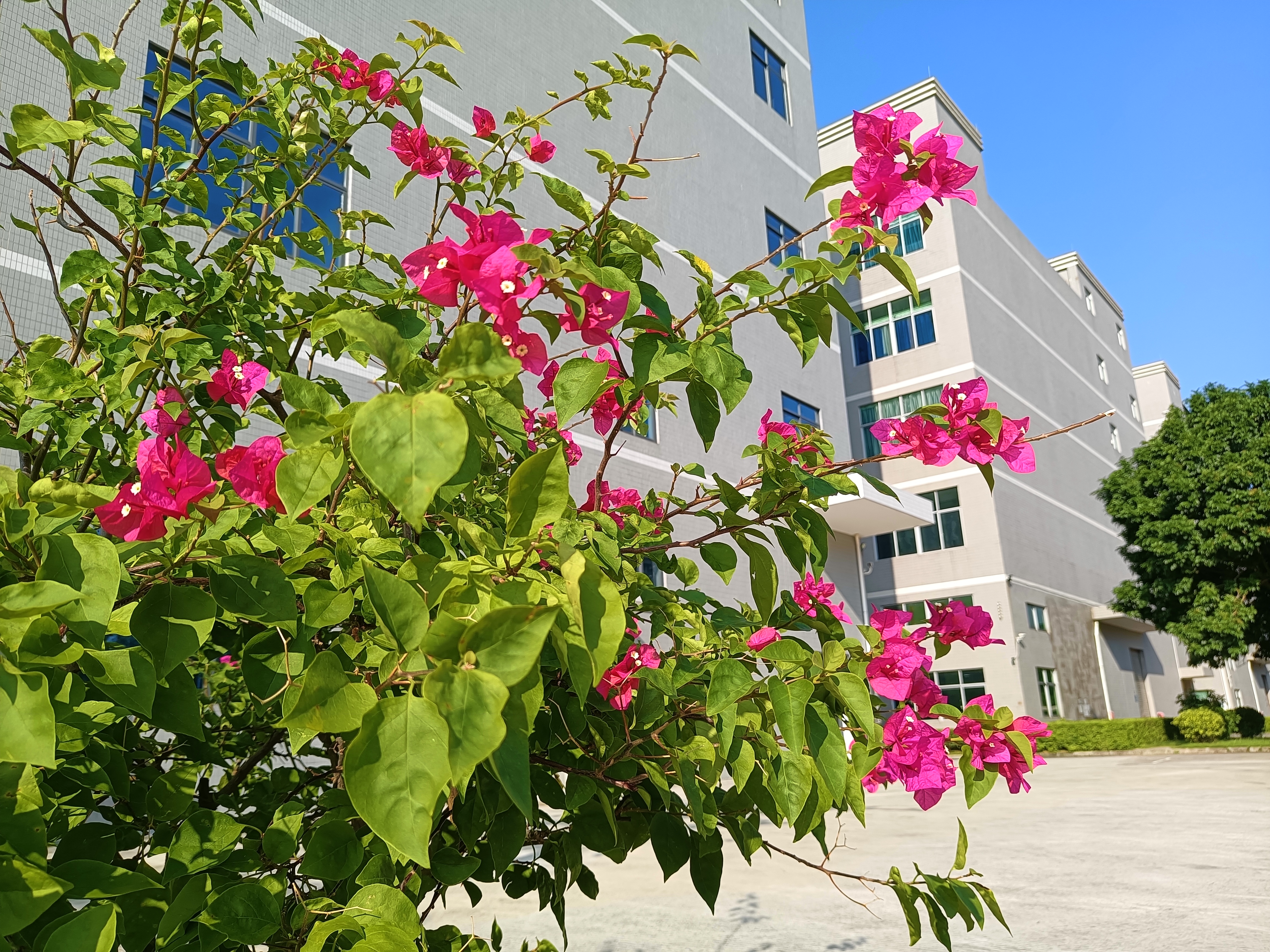 惠州市德海威科技有限公司图片12