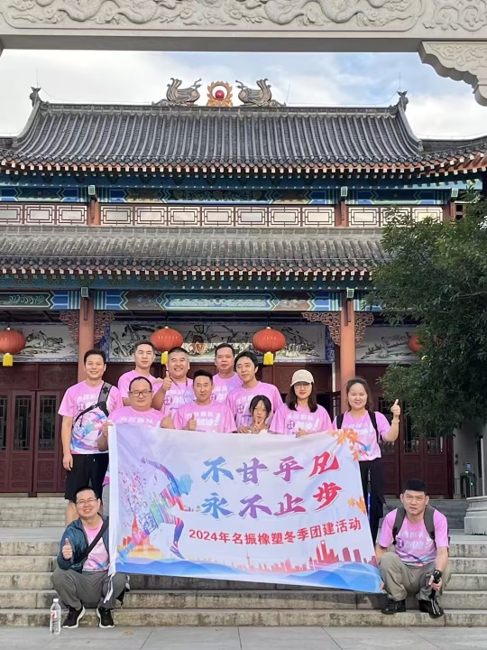 东莞市名振橡塑制品有限公司图15