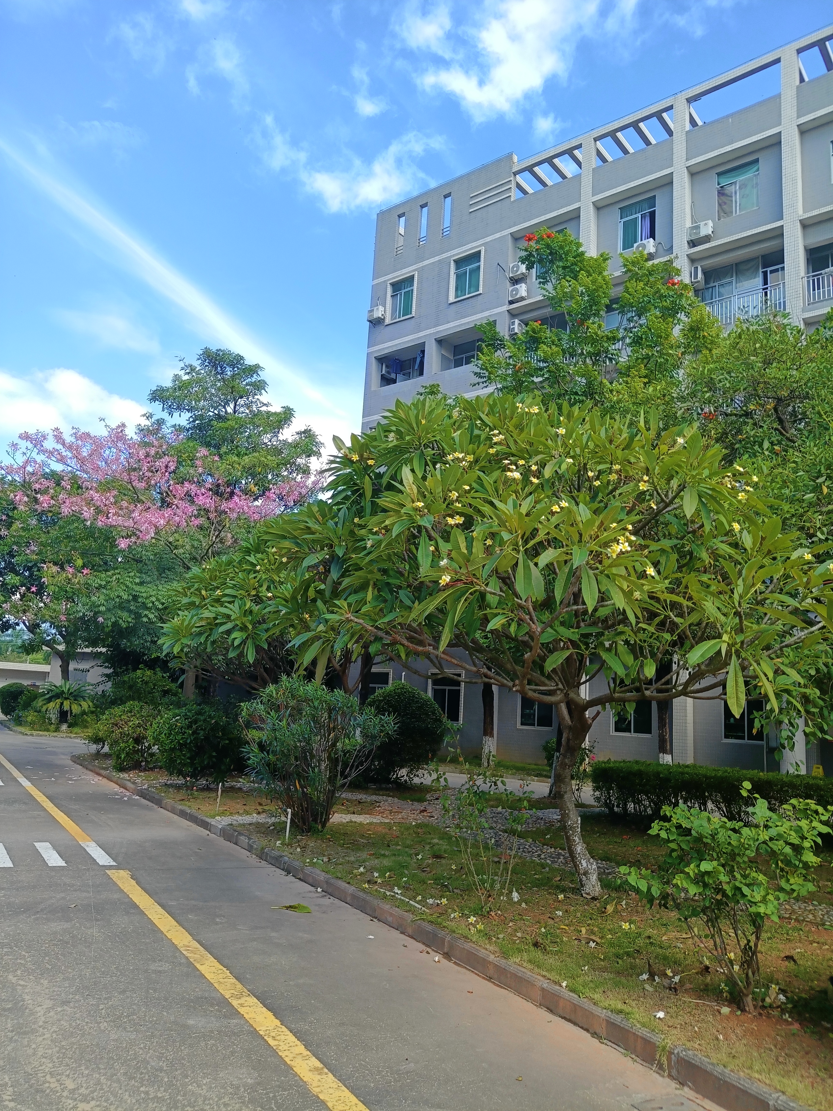 惠州市德海威科技有限公司图16