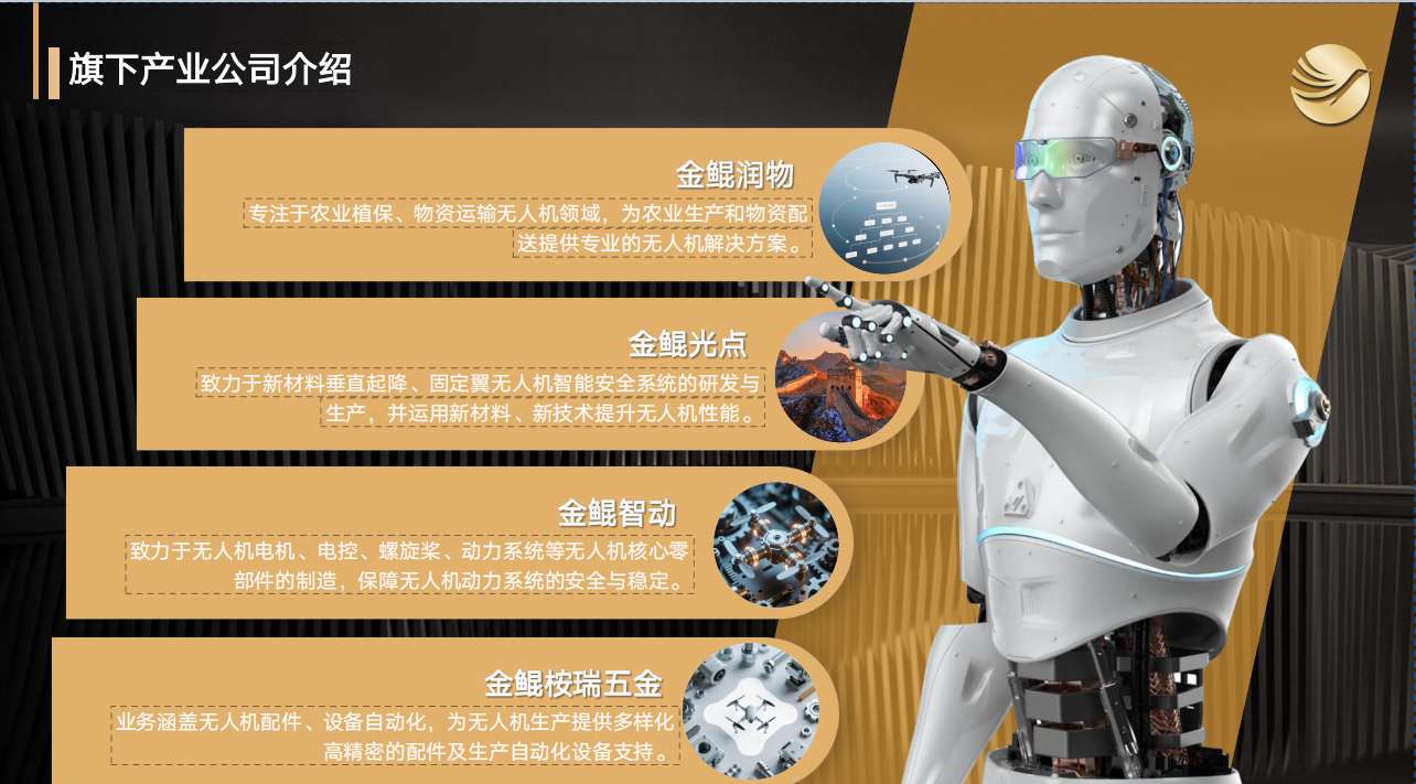 广东金鲲低空经济发展有限公司图2