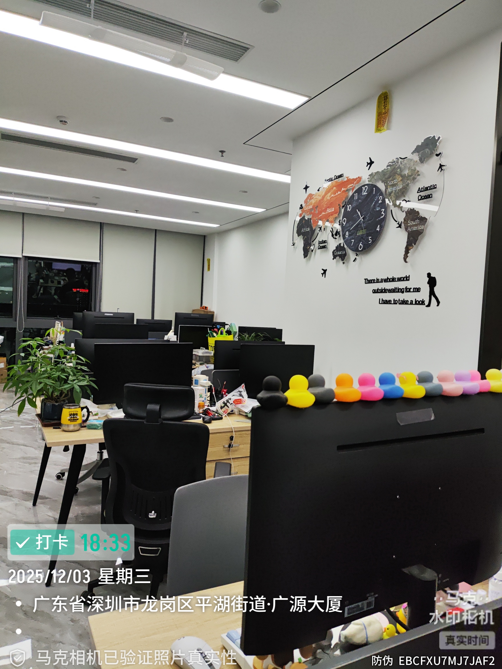 深圳市世宽国际供应链管理有限公司图3